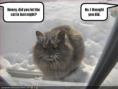 /album/fotogalerij/image012-png/