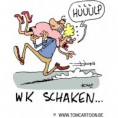 /album/fotogalerij/tomcartoon-sport-schaken-jpg/