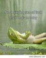 /album/fotogalerij/weekend-funny-messages-jpg/