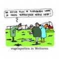 /album/fotogalerij/wetteren-jpg/